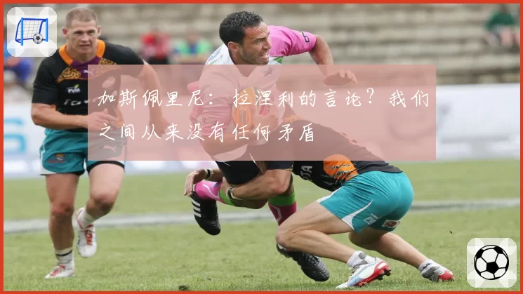 加斯佩里尼：拉涅利的言论？我们之间从来没有任何矛盾