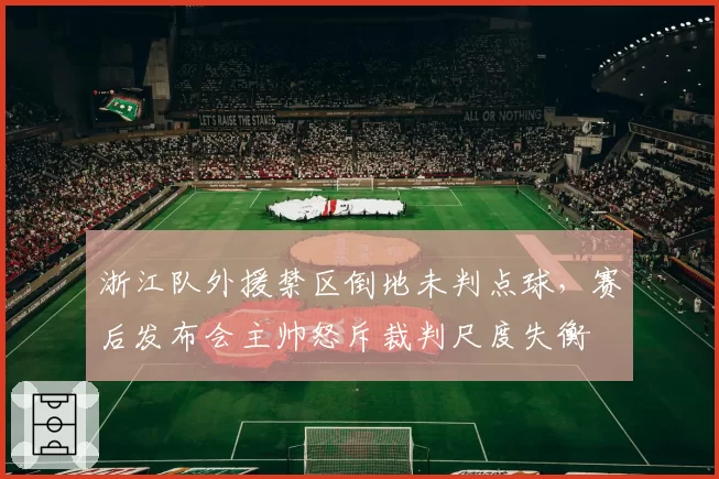 浙江队外援禁区倒地未判点球，赛后发布会主帅怒斥裁判尺度失衡