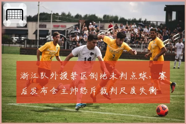 浙江队外援禁区倒地未判点球，赛后发布会主帅怒斥裁判尺度失衡
