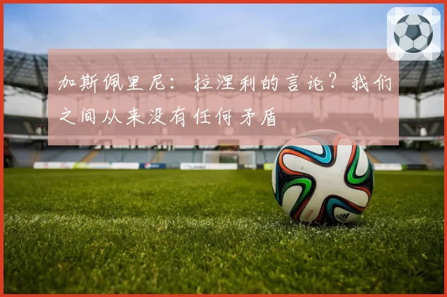 加斯佩里尼：拉涅利的言论？我们之间从来没有任何矛盾