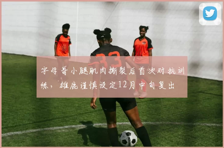 字母哥小腿肌肉撕裂后首次对抗训练，雄鹿谨慎设定12月中旬复出